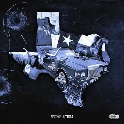 Picture for song 'Texas / BigXthaPlug Type Beat' by artist 'World Beats'