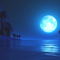 Picture for song 'I Won't Live Alone' by artist 'Yonk Productions'