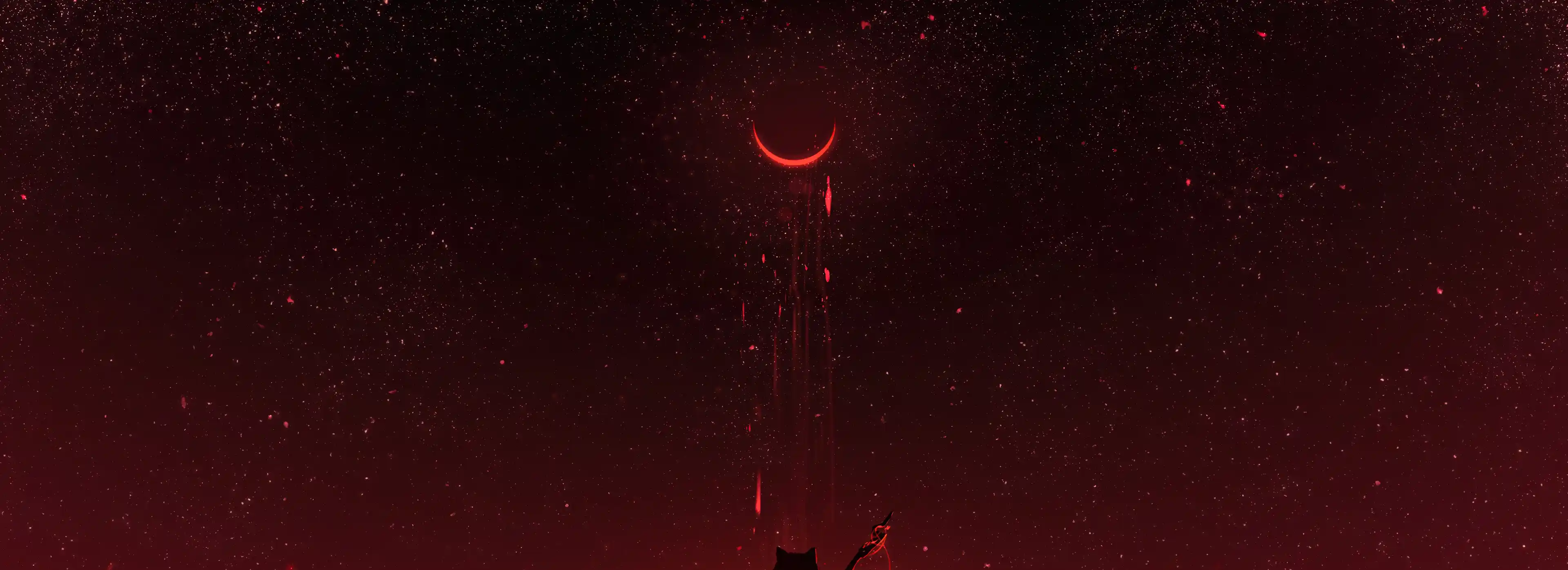 cover pic
