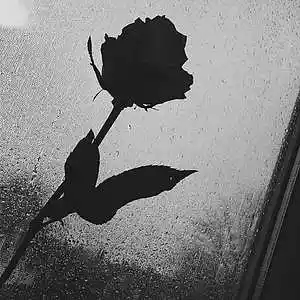 Picture for song '"LOVE HURTS" EMOTIONAL TRAP BEAT' by artist 'PROD. TommyontheTrack'