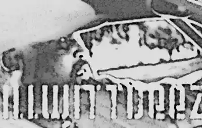 Picture for song 'What Is Love' by artist 'Funkaholikz Anonymouz'