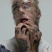 Picture for song 'i wanna die (Lil Peep Type Beat)' by artist 'lil ponyboy'