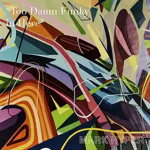 Picture for song 'TOO DAMN FUNKY IN HERE' by artist 'mark hyper'