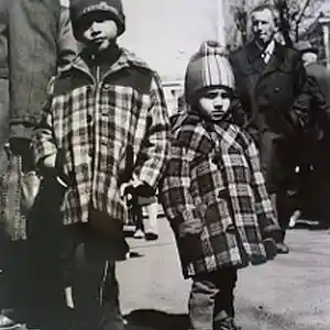 Picture for song 'Brownian' by artist 'Reflectives'