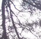 Picture for song 'thru it' by artist 'sayr'