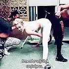 Picture for song 'Hood b*** (Ratchet) SDotTheProducer' by artist 'SDotTheProducer FYEent'