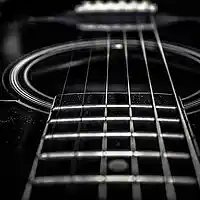 Picture for song 'Quiet silence' by artist 'Seagull (FMS)'