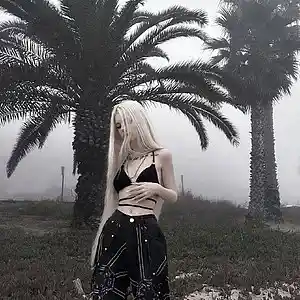 Picture for song 'osamason type beat + flex musix "blonde"' by artist '1poisoninside'