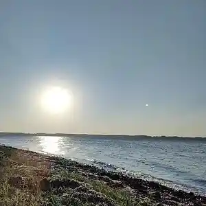 Picture for song 'WIN_20240516_18_08_38_Pro_16-05-24_19-FS_91' by artist '786 scheint-Al'lahs Bande'