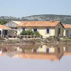 Picture for song 'Trio pour bois 1' by artist 'Christian Faivre'