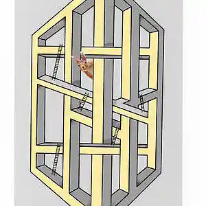 Picture for song '77 - Squirrel' by artist 'Electric Zen Band'