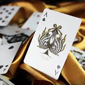 Picture for song 'Ace' by artist 'Any An'