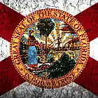 Picture for song 'Lets Rock' by artist 'flawda boi'