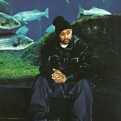 Picture for song 'the soul - wu tang clan type beat' by artist 'KroM Beatz'