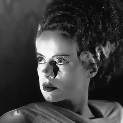 Picture for song 'The Bride of Frankenstein Theme' by artist 'Previous Signs of Decay'