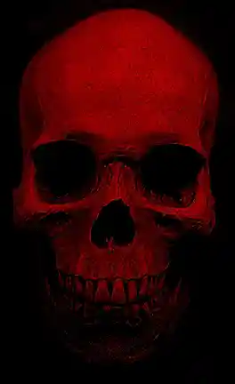 Picture for song 'Hard Hitting Pain' by artist 'RedSkulll'