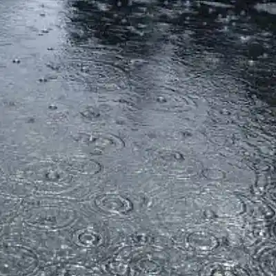 Picture for song 'Rain' by artist 'Richard Lee Sanders'