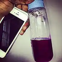 Picture for song '(New) Got the Juice' by artist 'Cardio Beatz'