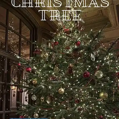 Picture for song 'don't leave me under the Christmas tree' by artist 'sky.high.officials'