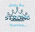 Picture for song 'The Strong Survive' by artist 'Twing Dynasty'
