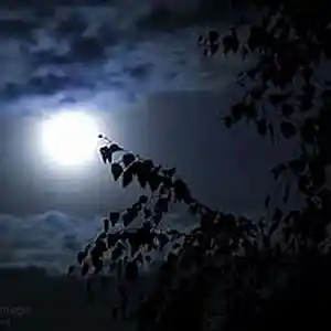 Picture for song 'NEVER KNOW(PROD.whoDeany)' by artist 'whoDeanyBeatz'