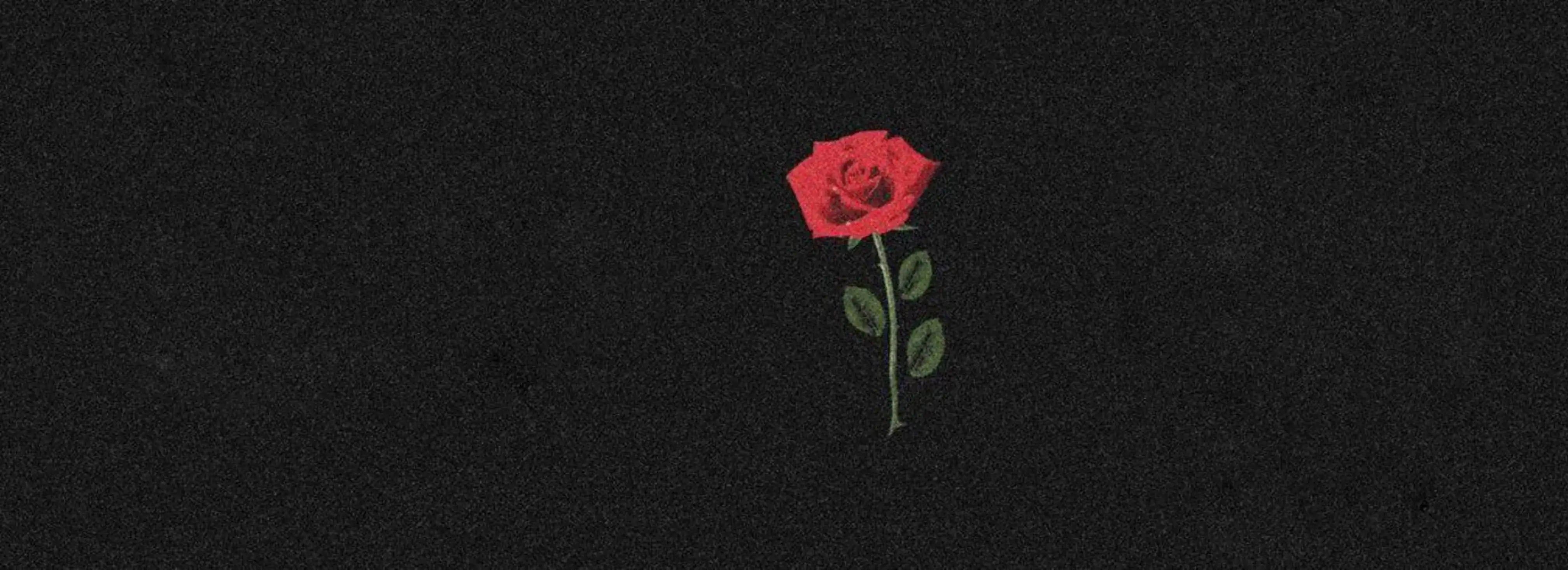 cover pic