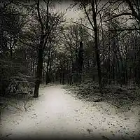Song picture