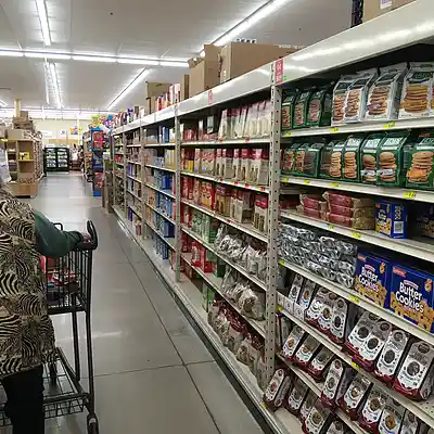 Picture for song 'Morning Ambience June 7th 2024' by artist 'AuDioChosis - Steven F. Allen - AuDio MiRage'