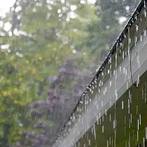 Picture for song 'Gutter' by artist 'Black Chalk'