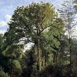 Picture for song 'Symphonie 7 Mvt 2 (Beethoven) *' by artist 'Christian Faivre'