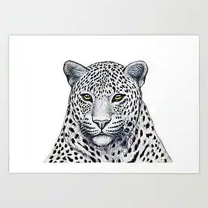 Picture for song 'Leopard (YFN Lucci Type Beat) - Devezin.com' by artist 'Devezin'