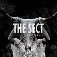 Picture for song 'The Sect' by artist 'Digital Flashback Beats'