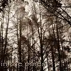 Picture for song 'In The Pines' by artist 'Ethel's Axewound'