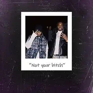 Picture for song 'Not your bitch (Lil Tjay X YFN Lucci Type Beat)' by artist 'gimmethecash1'