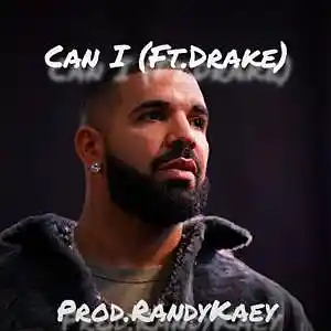 Picture for song 'Can I (Instrumental)' by artist 'Prod.RandyKaey'