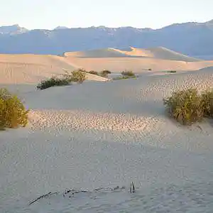 Picture for song 'Tumbleweed' by artist 'Round The Globe'