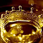 Picture for song 'slowjams' by artist 'No Studio'