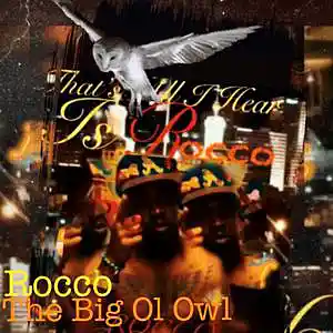Picture for song 'HOLD UP IM BOUT TO SHOW UP' by artist 'THE BIG OL OWL'