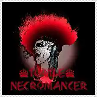 Picture for song 'JunkYardPuppy' by artist 'Turtle Necromancer'