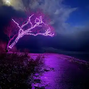 Picture for song 'whoDeany x Come and go' by artist 'whoDeanyBeatz'