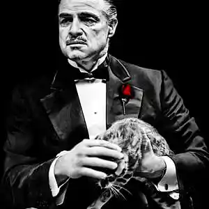 Picture for song 'Anxious' by artist 'Aeoalian'