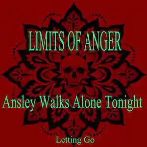 Picture for song 'Ansley Walks Alone Tonight' by artist 'Limits of Anger'