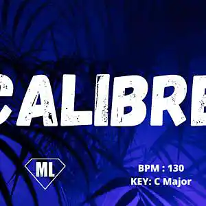 Picture for song 'CALIBRE - Mendi Like (130 BPM - C Major )' by artist 'Mendi Like'