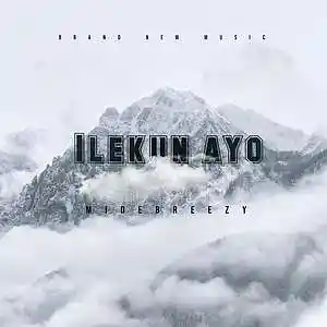 Picture for song 'Ilekunayo' by artist 'Midebreezy'