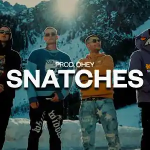 Picture for song 'SNATCHES (BUY 2 GET 1 FREE) DETROIT TYPE BEAT' by artist 'prod.ohey'