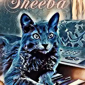 Picture for song 'Heavens Even Closer As We're Near' by artist 'Queen Nefer Aset Titi Cleo She Bah and ?'