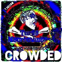 Picture for song 'Crowded' by artist 'Turtle Necromancer'