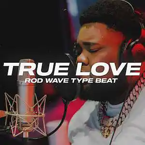 Picture for song 'True Love (BUY 1 GET 4 FREE)' by artist 'Wendigo'