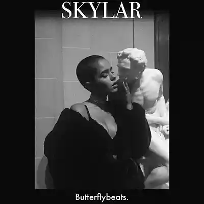 Picture for song 'Trap Type Beat 2024 - "SKYLAR" l Hip Hop Beat' by artist 'Butterfly Beats'
