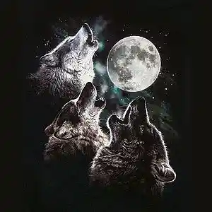Picture for song 'Invocation' by artist 'Desiradio'